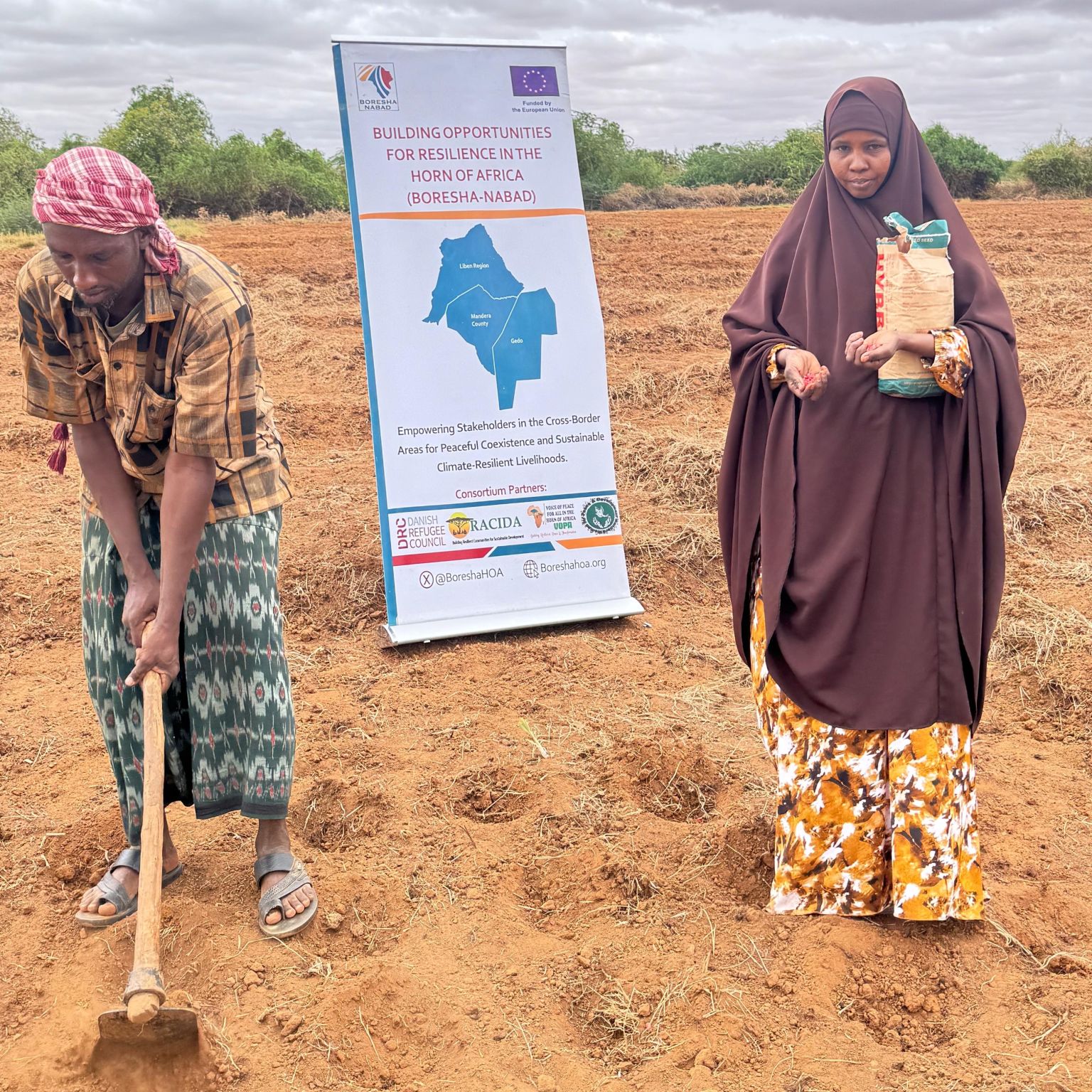 Mandera Farmers Reclaim Land, Embrace Drought-Tolerant Seeds Under BORESHA-NABAD